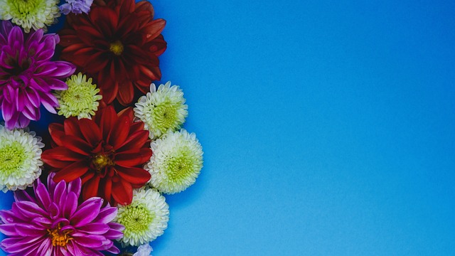 打破小贝纪录，布鲁日前锋福布斯是欧冠对巴萨传射最年轻球员